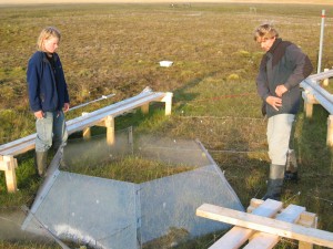 Global warming is simulated with this open top chamber. It increases the temperature of the soil surface a few degrees.