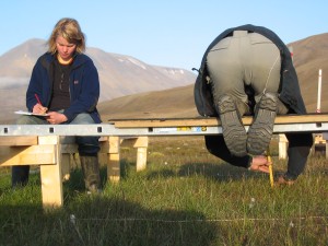 Richard is measuring the lengths of shoots, while Laura makes notes.