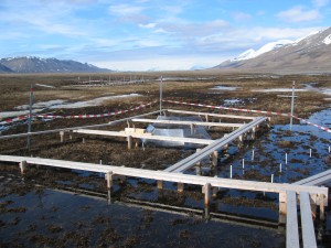 Overview of the wet site, with block W5 in the front and W6 in the back.