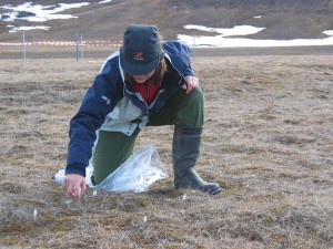 Sophie applying organic phosphate