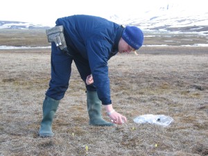 Jani applying inorganic phosphate