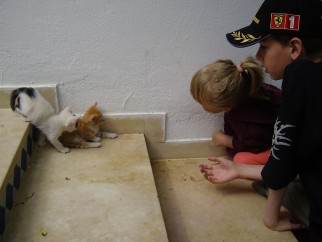 Iedere keer op weg naar de eetzaal...