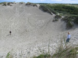 Maarten is trekpaard