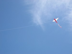 Aan de bovenkant van het touw: de vlieger