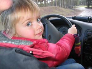 Wie stuurt tijdens de autosafari?