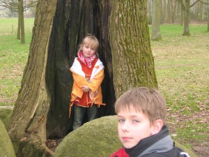 en een mooie holle boom