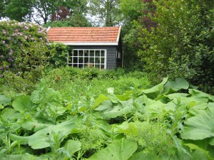 ons tuinhuisje vanaf de pad