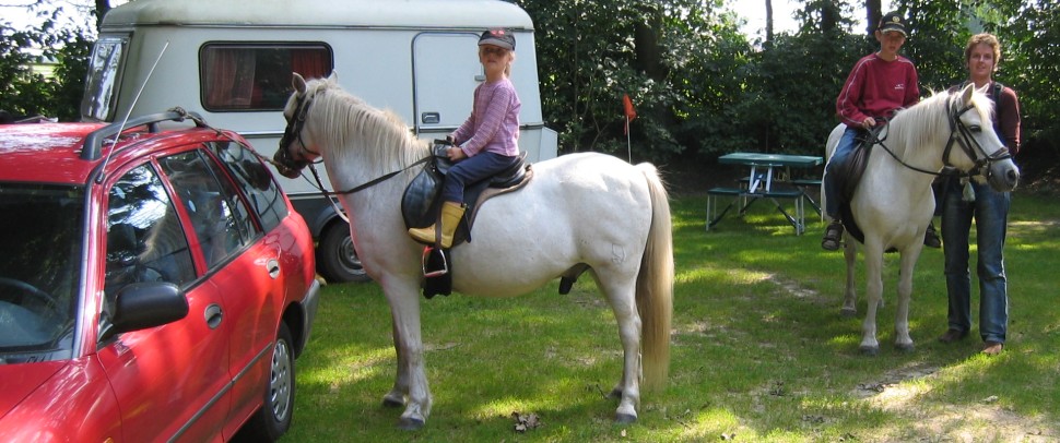 We krijgen van de manege twee ponies mee op een wandeling