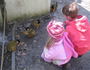 Lekker aan het scharrelen