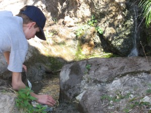Kliederen in het stroompje water