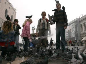 De duiven vliegen en fladeren rondom ons