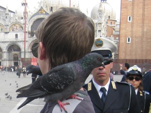 Agenten: please stop feeding