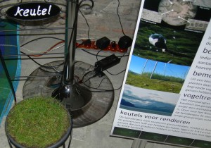 de keutel staat centraal