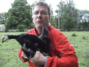 Klik hier voor meer...