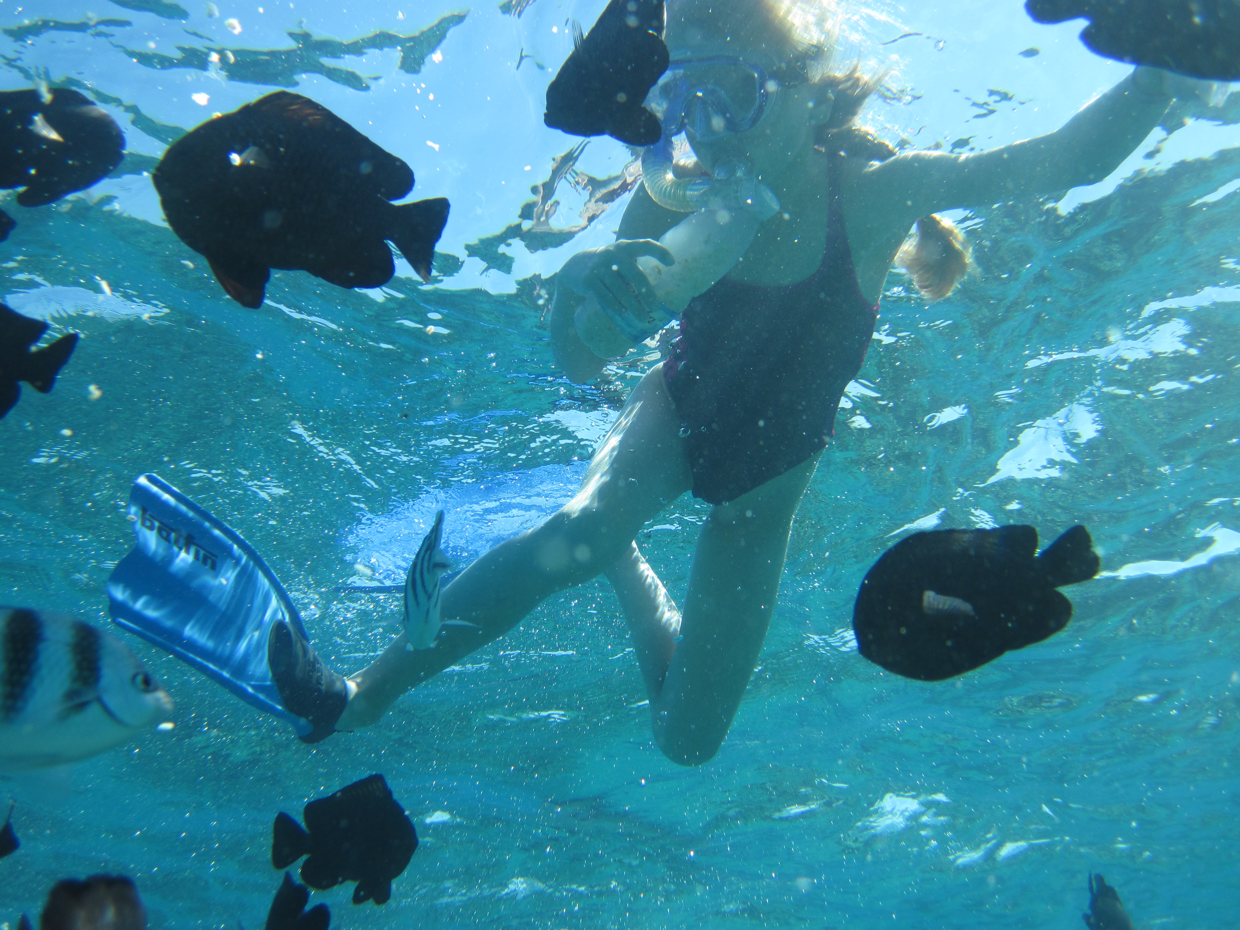 Klik hier voor meer...