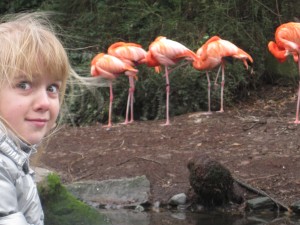 Klik hier voor meer...