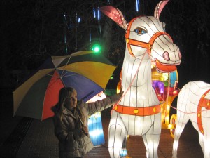 Klik hier voor meer...