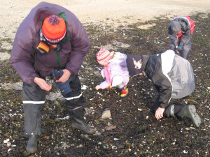 Zoeken tussen stukjes hout