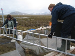 Measuring carbon exchange