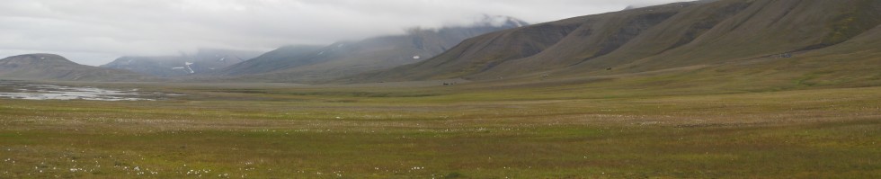 Adventdalen, in the middle of the picture you can just see the hut at the FRAGILE site