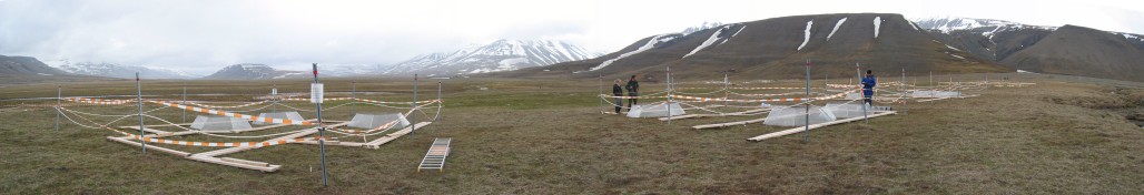 An overview of the experimental set-up on the dry vegetation type