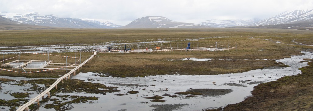 An overview of the wet vegetation type